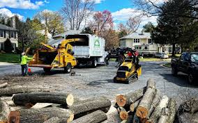 Best Firewood Processing and Delivery  in Paramount, CA